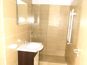 Apartament cu 1 camera de inchiriat, 40 mp utili - zona Aradului - imagine 6