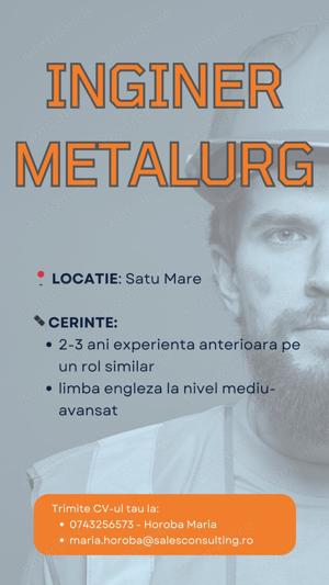Inginer Metalurg - Satu Mare  Baia Mare