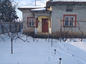 Vand Casa ,în comuna Contesti județul Teleorman ,800 m  ,casa locuibila ,anexă pivniță,4 camere,bucd - imagine 5