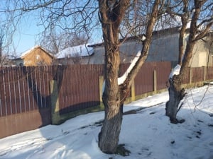 Vand Casa ,în comuna Contesti județul Teleorman ,800 m  ,casa locuibila ,anexă pivniță,4 camere,bucd - imagine 9