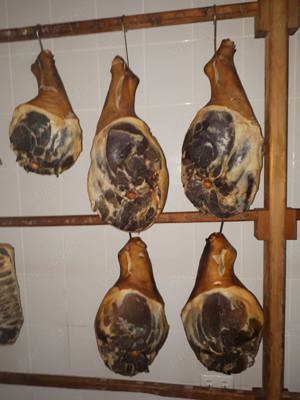 sunca picior din spate de mangalita