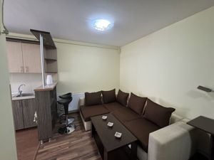 Apartament 2 camere de inchiriat Ared Uta - imagine 5