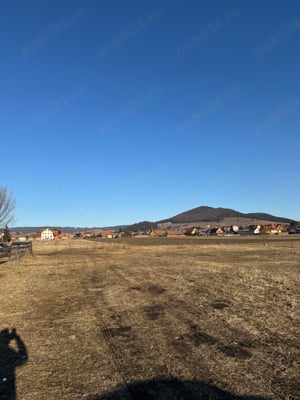 8 ari de teren intravilan - imagine 3 8 ari de teren intravilan - imagine 3