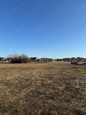 8 ari de teren intravilan - imagine 4 8 ari de teren intravilan - imagine 4