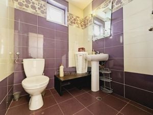 Apartament cu 3 camere de vanzare, Anghel Saligny - imagine 8