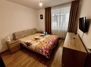 Inchiriere Apartament 3 Camere Decomandat Sos.Giurgiului - imagine 6