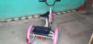 Tricicletă juniori și adulți 