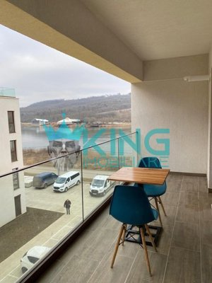  Apartament 1 Camere Podul de Fier Iasi - imagine 8