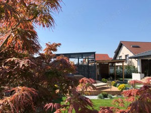 Servicii peisagistice