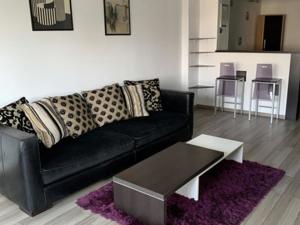 Vanzare Apartament 2 Camere Stradal Bd Unirii Zepter - imagine 12