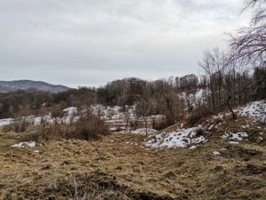 Teren la munte cu izvor pentru casuta de vacanta