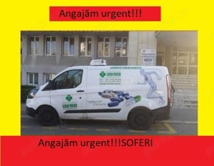 -  --Firma DISTRIBUTIE! Angajăm urgent!!! SOFERI cat.B Femei Barbati--  -