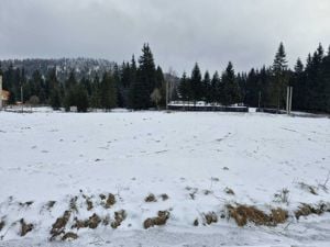 Teren intravilan de vanzare în loc.Comandău ,jud.Covasna.