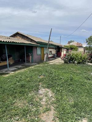 Vand casa in sat Gulianca, jud. Braila, cu un plan cadastral de 3354mp - imagine 2