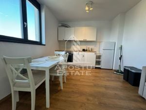 Apartament cu 2 camere, open space, Pet Friendly, Take Ionescu(Isho) - imagine 3