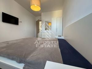 Apartament cu 2 camere, open space, Pet Friendly, Take Ionescu(Isho) - imagine 9