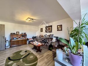 Apartament 3 camere, decomandat, garaj, centrala proprie, zona Lunei - imagine 8