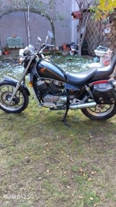 Honda Shadou VT500 - imagine 5