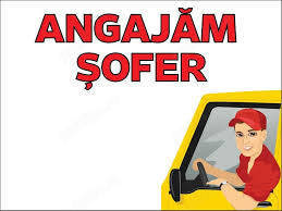 Angajam sofer manipulant. in Ploiesti-Malu Rosu.Serios cu spirit de echipa, organizat, harnic. cat.B