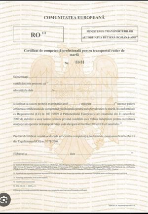 Manager transport marfa