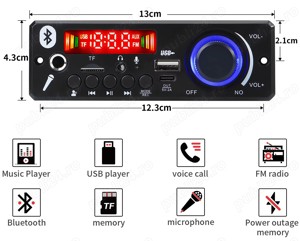 Modul decodor cu amplificator integrat, 3 modele - imagine 3