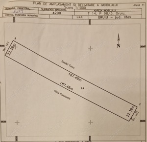 Teren de vanzare in Gruiu (ilfov) 4200m  la 25  m  - imagine 5