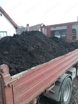 pamant negru vegetal nisip