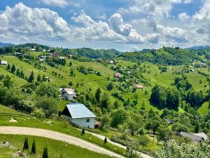 Excursii  Montane Sinaia  - imagine 4