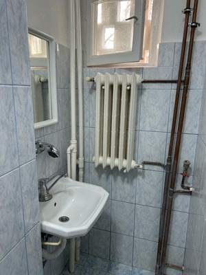 Zona Bogdanestilor-Cetății, apartament 1 cameră, parter, chirie 250 euro pe lună  - imagine 18