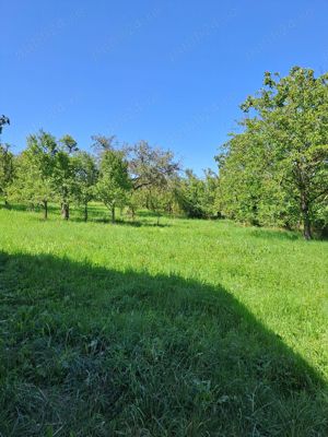 Vand teren cu casa veche,intravilan - imagine 5