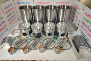 SET MOTOR 4000 B4.40 B4.40II B400 Nissan Atleon 140, Eco-T135, L35-09 - imagine 1