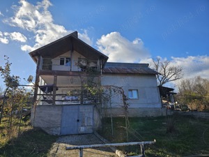 Vand casa de vacanta in Comuna Cotmeana, Sat Ursoaia, jud Arges - imagine 6