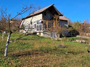 Vand casa de vacanta in Comuna Cotmeana, Sat Ursoaia, jud Arges - imagine 9