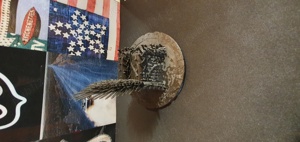 Tronul din urzeala tronurilor