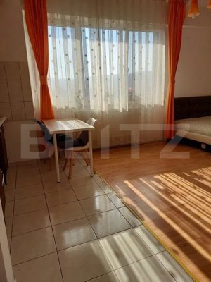 Apartament 1 camera, 35mp, Manastur