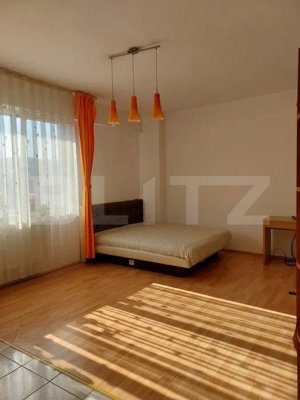 Apartament 1 camera, 35mp, Manastur - imagine 2