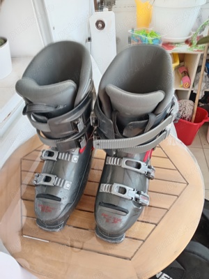 Clapari ski Dalbello