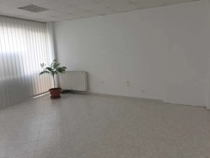 ULTRACENTRAL - spatiu birou, 60mp, 2camere  - 550 euro/luna - imagine 3