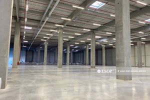 Eli Park 4, depozitare, productie, logistica, 1.500 - 20.000 mp - imagine 2