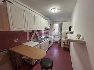 Apartament spatios cu 3 camere si 2 bai in Vasile Aaron - imagine 4