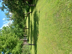 Ultracentral! Casă cu Teren generos,  zona PENNY, Săcele - Brașov - imagine 8