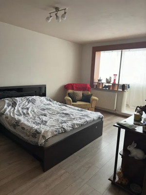 Apartament 4 camere Craiter - imagine 9