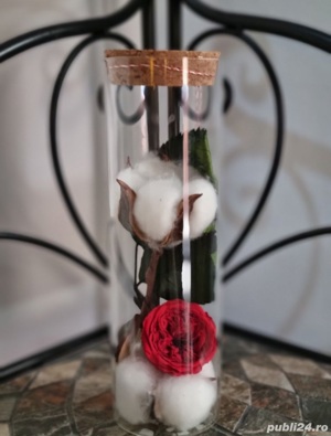 martisor criogenat ! 