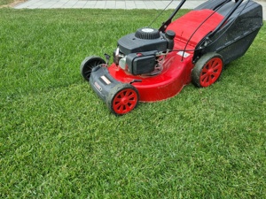 Intreținere gazon, pomi, gard viu