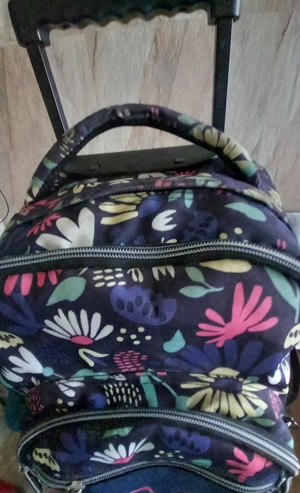 Ghiozdan pt fete folosit.