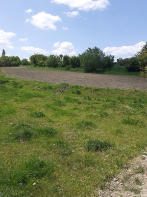 teren casa - imagine 3