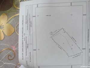 teren casa - imagine 4