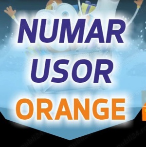 Numar usor VIP de AUR 07 4x 4x 7x 11