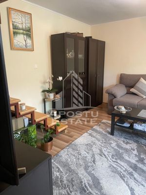 Casa individula cu 4 camere, zona Cetatii - imagine 4