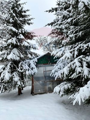 Casă / Vilă cu 3 camere de vânzare în zona Malul Ursului - imagine 3